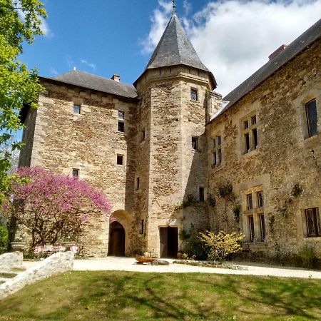 Chateau De Chanze Faye-d'Anjou Exteriér fotografie
